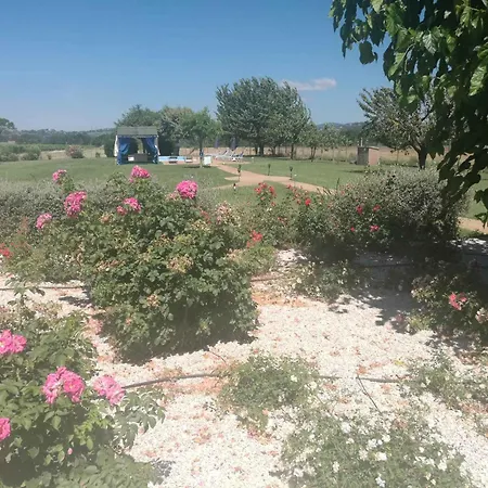 In - Umbrien 24282 * טורג'אנו